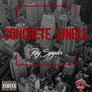 Concrete Jungle