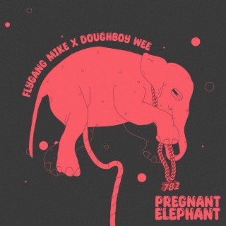 PREGNANT ELEPHANT