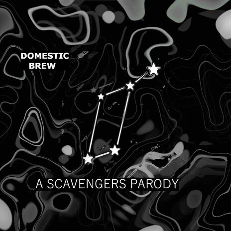 A Scavengers Parody | Boomplay Music