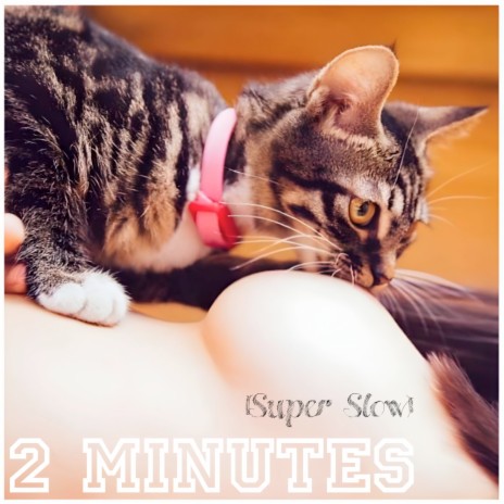 2 Minutes (Super Slow) | Boomplay Music