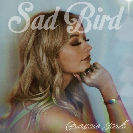 Sad Bird | Boomplay Music