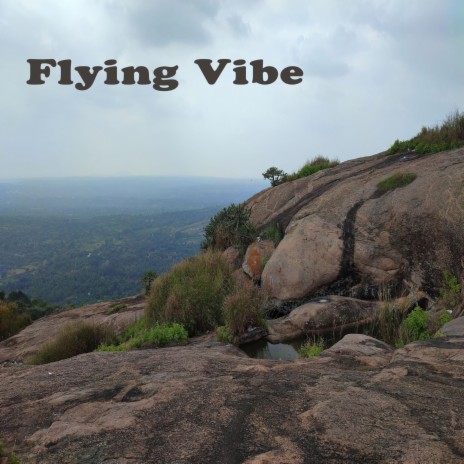 Flying Vibe