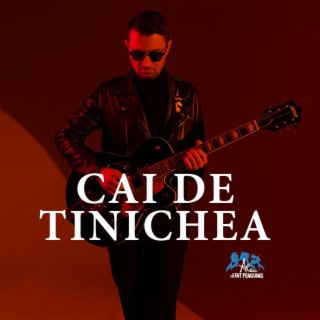 Cai de tinichea