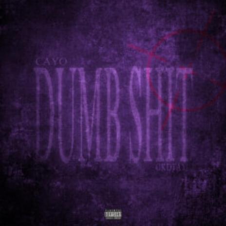 Dumb Shit ft. Cayo | Boomplay Music