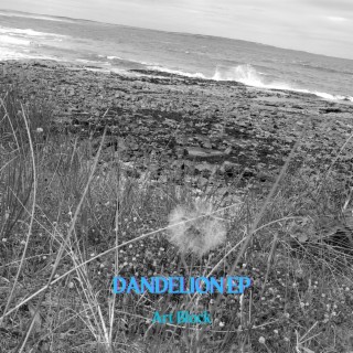 Dandelion lyrics | Boomplay Music
