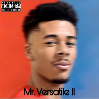 Mr Versatile II