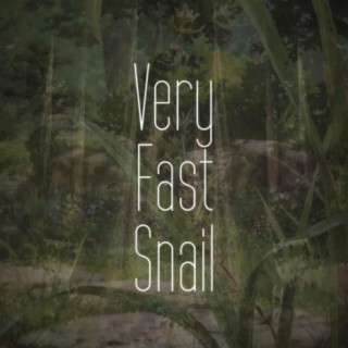 Very Fast Snail