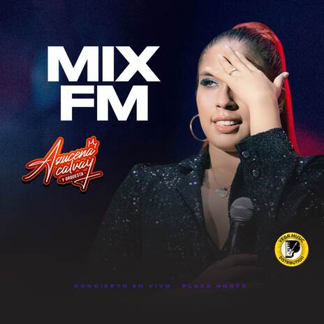 Mix FM (Concierto Plaza Norte) | Boomplay Music