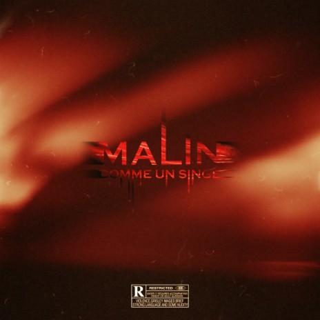 MALIN COMME UN SINGE | Boomplay Music