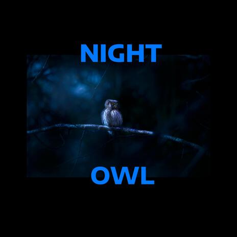 Night Owl | Boomplay Music