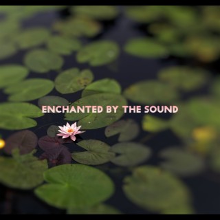 Enchanted by the Sound