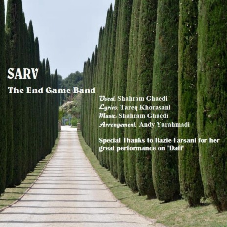 Sarv | Boomplay Music