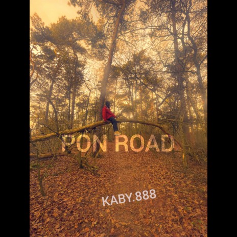 PON ROAD | Boomplay Music