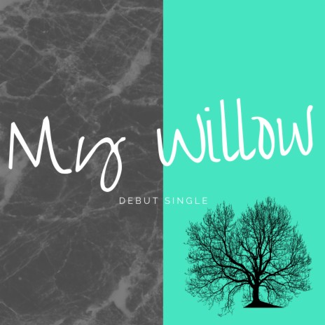 My Willow | Boomplay Music