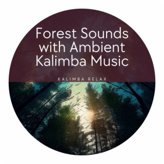 Forest Sounds with Ambient Kalimba Music