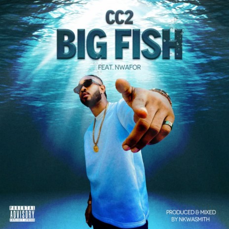 Bigfish (feat. Nwafor)