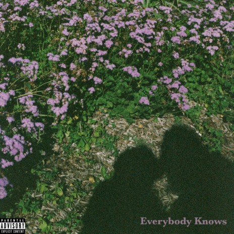 Everybody Knows | Boomplay Music