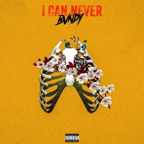 I Can Never | Boomplay Music