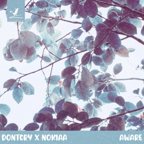 Aware ft. Nokiaa | Boomplay Music