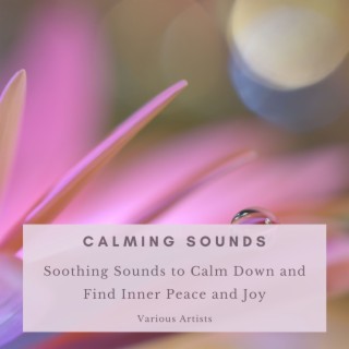Calming Sounds: Soothing Sounds to Calm Down and Find Inner Peace and Joy
