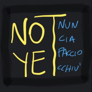 Nun Cia Faccio Cchiu'