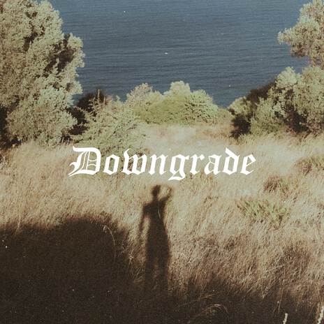 Downgrade | Boomplay Music