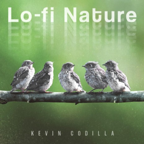 Lo-fi Nature | Boomplay Music