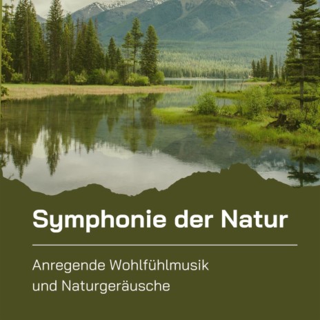 Durch den Wald | Boomplay Music