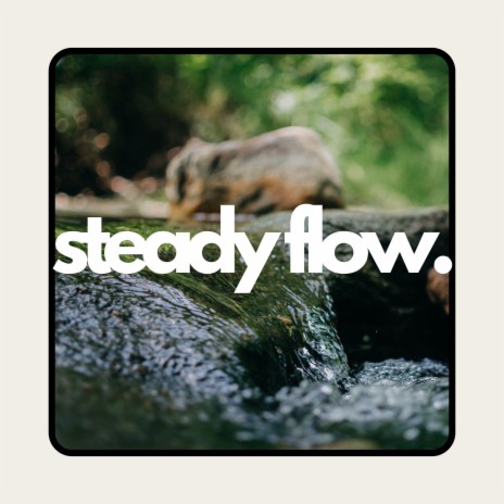 Steady Flow | Boomplay Music