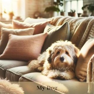 My Dog: Favourite Relaxing Playlist for Dogs