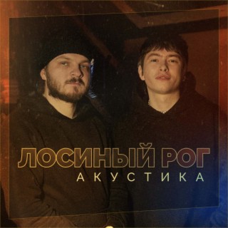 Лосиный рог акустика