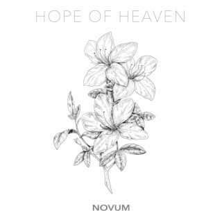 NOVUM