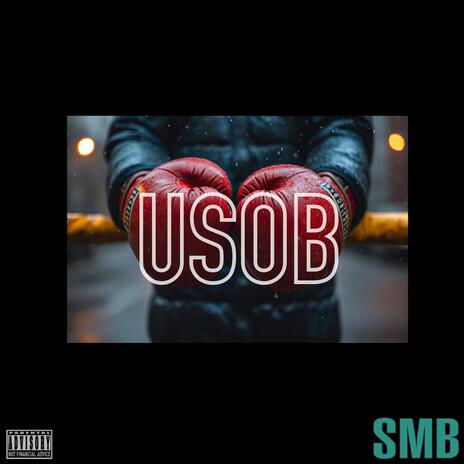 USOB ft. Safemoon X | Boomplay Music