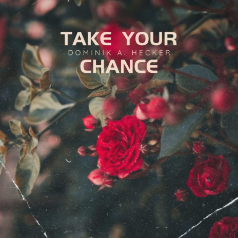 Take Your Chance | Boomplay Music
