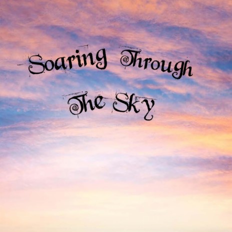 Soaring Through the Sky | Boomplay Music