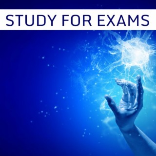 Study for Exams: Electronic Atmospheres for Study Time