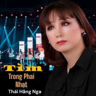 TÌM TRONG PHAI NHẠT