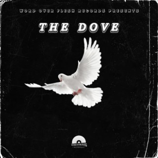 The Dove lyrics | Boomplay Music