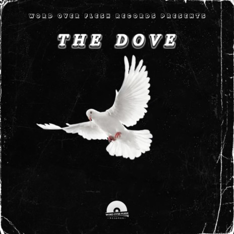 The Dove | Boomplay Music
