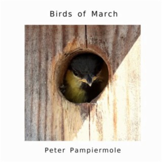 Birds of March