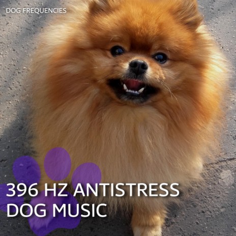 396 hz music for dogs top