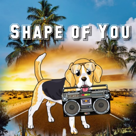 Shape of You | Boomplay Music