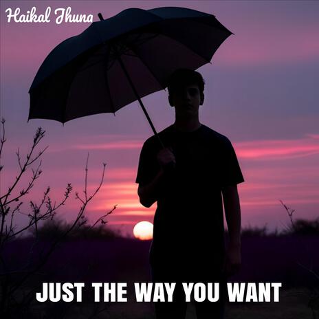 Just the way you want | Boomplay Music