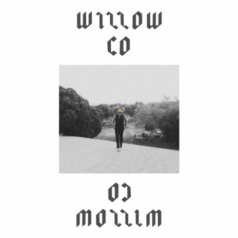 Willow, CO | Boomplay Music