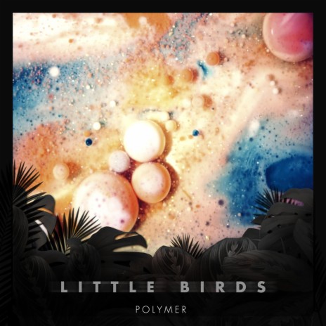 Little Birds | Boomplay Music