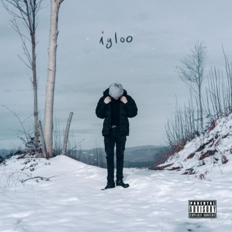 Igloo | Boomplay Music