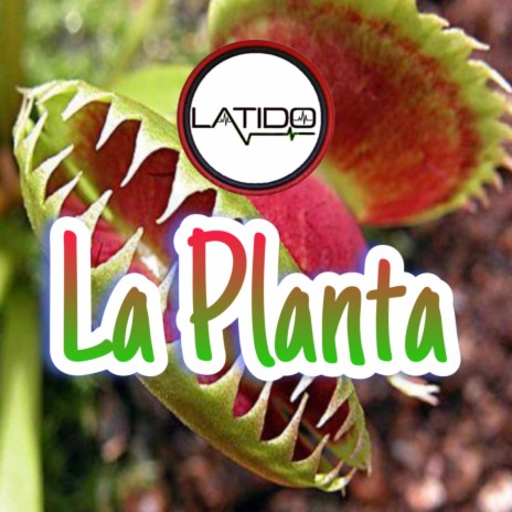 La Planta | Boomplay Music