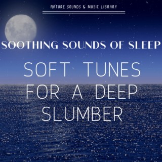 Soothing Sounds of Sleep: Soft Tunes for a Deep Slumber