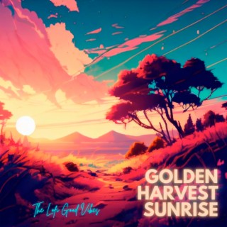 Golden Harvest Sunrise