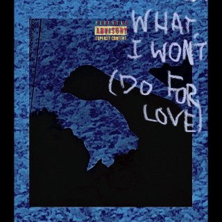WHAT I WON'T (DO FOR LOVE)
